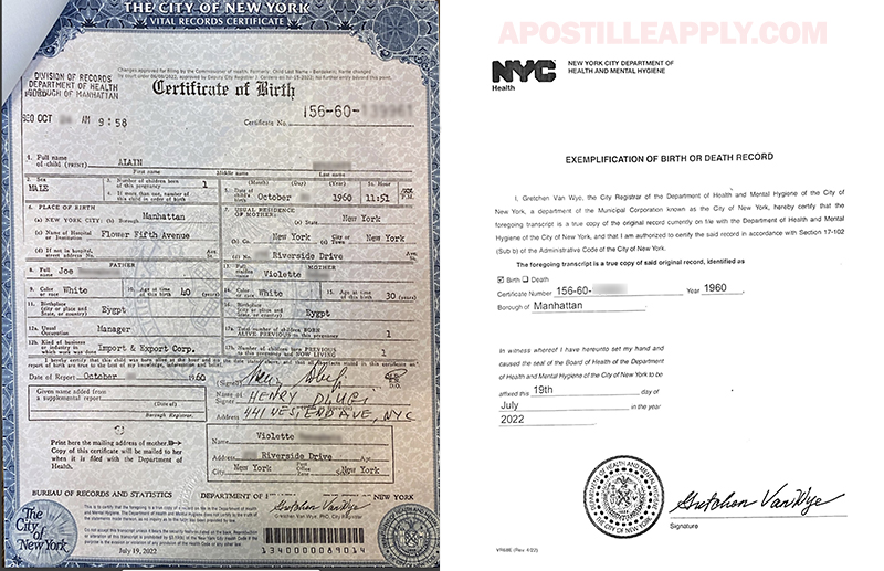 Long Form NYC Based Birth Document