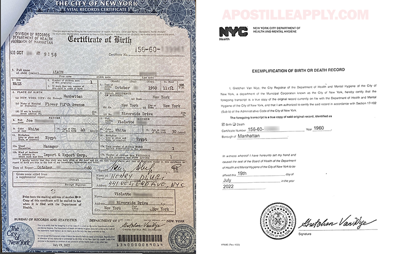 Westchester Apostille Same Day New York Processing